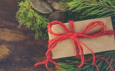 BEST ECO FRIENDLY GIFT IDEAS EVERYONE WILL LOVE